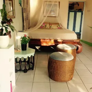  Accommodatie bij particulieren Magical Garden